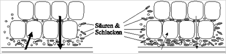 Säuren und Schlacken